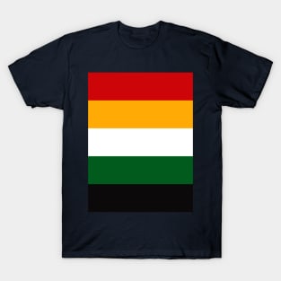 Bold Color Bands in Rainbow Style T-Shirt